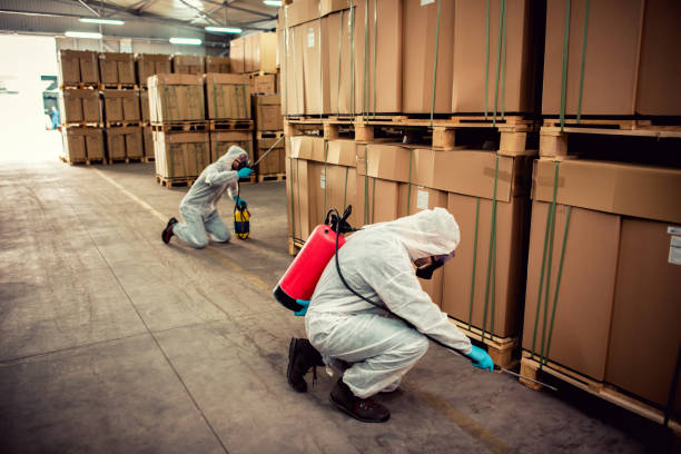 Best Bed Bug Extermination  in Rosita, TX