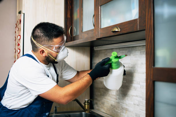 Best Local Pest Control Services  in Rosita, TX