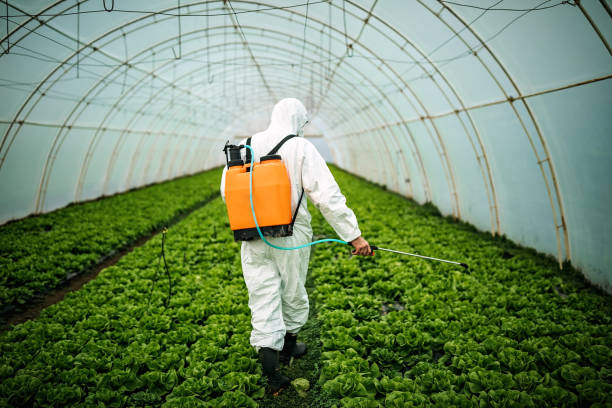 Best Affordable Pest Control Services  in Rosita, TX
