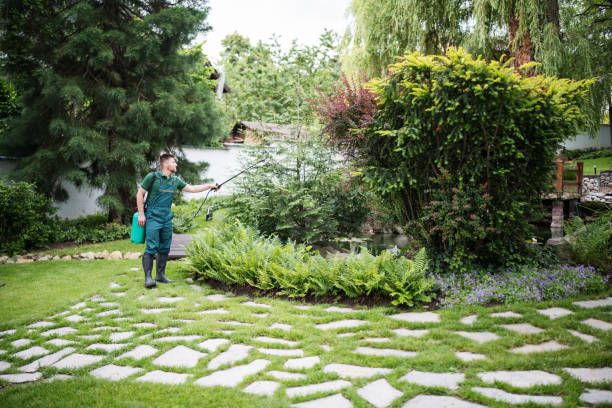 Best Local Pest Control Services  in Rosita, TX