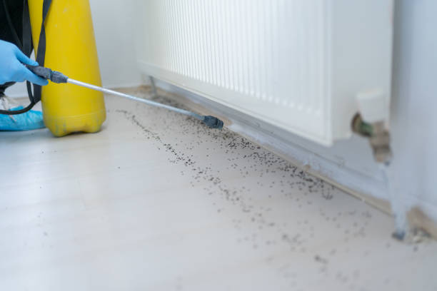 Best Wildlife Control Services  in Rosita, TX