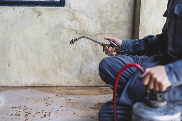 Professional Pest Control in Rosita, TX
